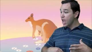 Hopping Kangaroo