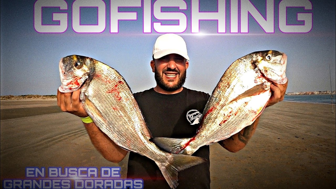 🔴 En BUSCA de LaS ‼️☢️GRANDES☢️DORADAS💣 No APTO para CARDÍACOS🤯