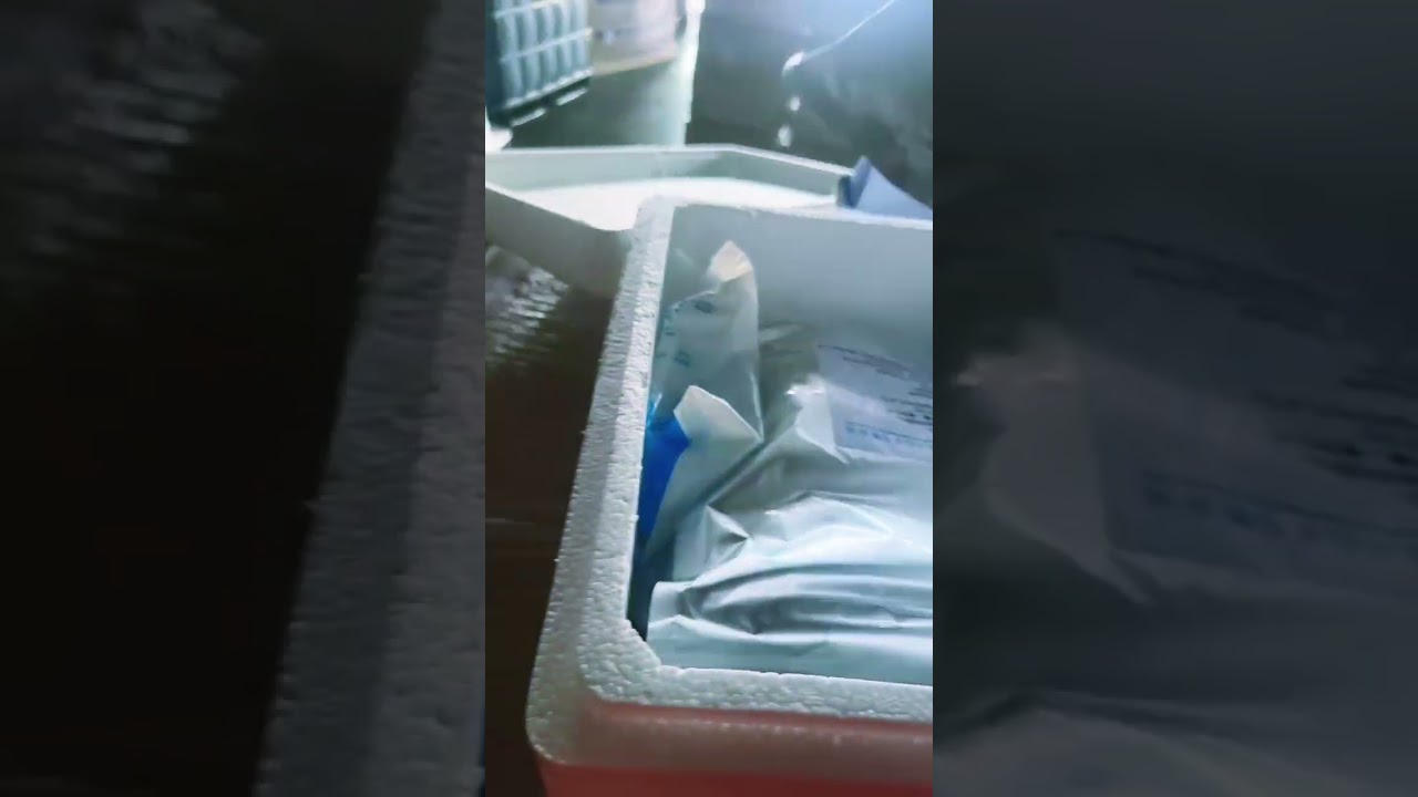 Guangzhou Import Customs Clearance Completed for Australian Food