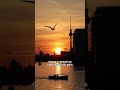 Германию накроет жара с 15 июня: до +35 °C на юге страны  #германия #погода #лето #сахара