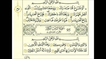 سورة التين-الشيخ علي الحذيفي-رواية قالون