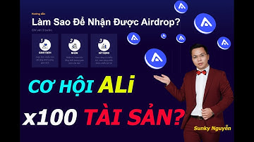 ALI | ALITA LÀ GÌ ? | WEDEFI | WEFINEX | BINANEX | REMITEX | ARESBO | BITONO | RAIDENBO..