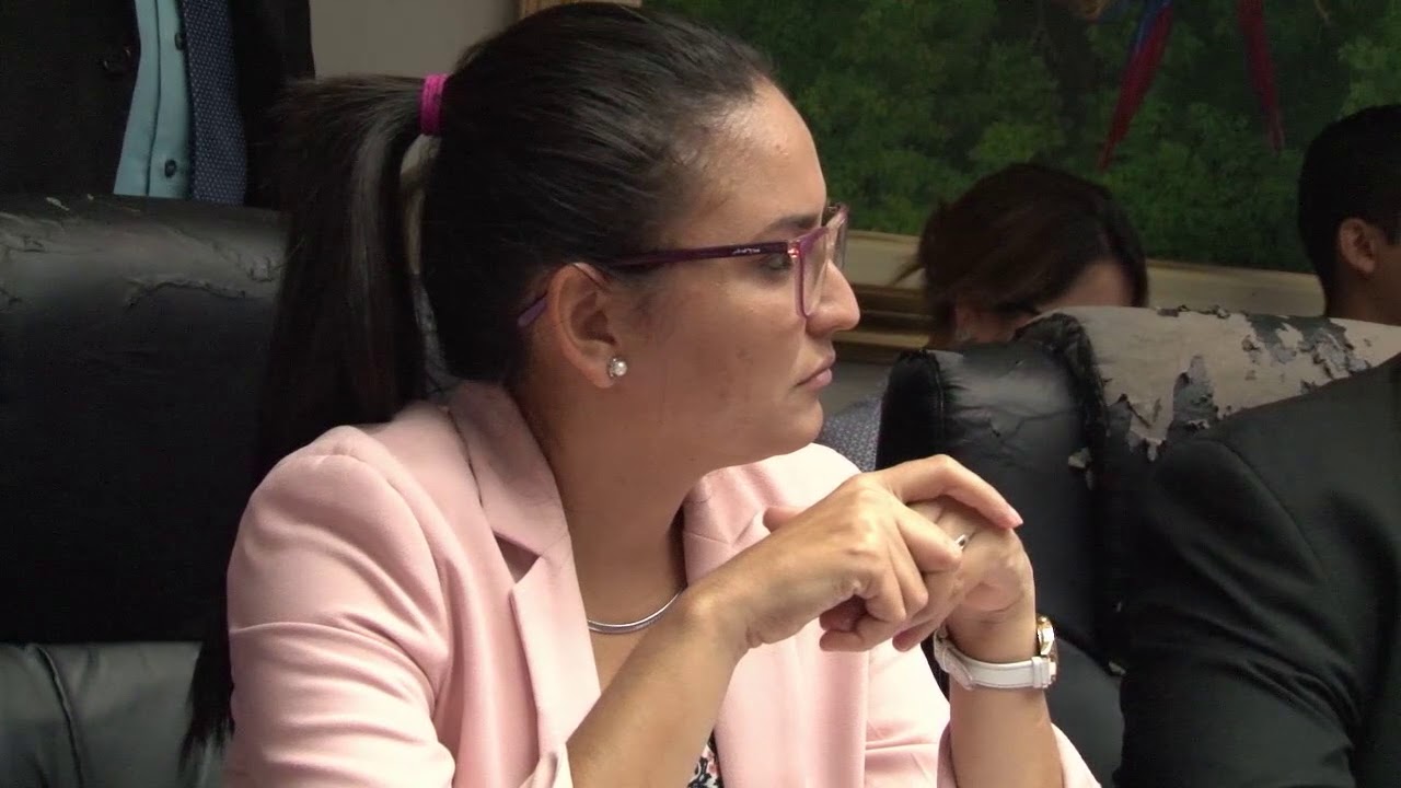 COMISIÓN DE JUVENTUD Y DEPORTES CONTINÚAN ESTUDIO DE LAS REFORMAS A LA LEY GENERAL DE LOS DEPORTES elton john