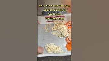 vegetable cutter Lotus root slicing machine