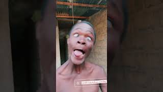 Quick#Unique# Dove Bird#Trap #Make# From#Cardboard #Box #youtubeshorts#funny #nature #hardikkautilya