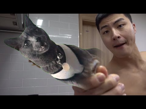말왕 장충동 왕족발 보쌈 고양이 버전