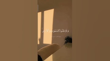 {هو الذي أنزل السكينة في قلوب المؤمنين} - ما تيسر من سورة "الفتح" بصوت خاشع #قرآن - في - دقيقة# 🌿🤍
