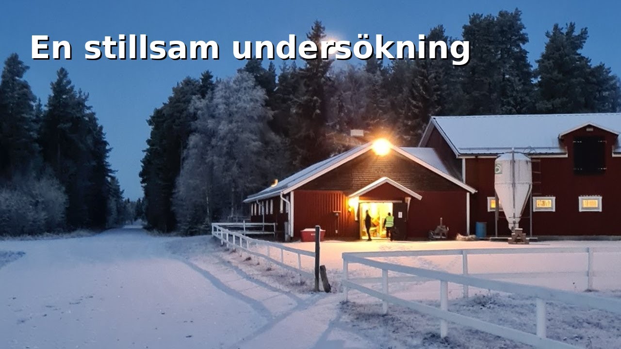 En stillsam paranormal undersökning på min arbetsplats