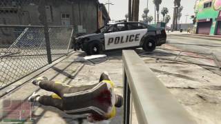GTA V Stupid police screenshot 4