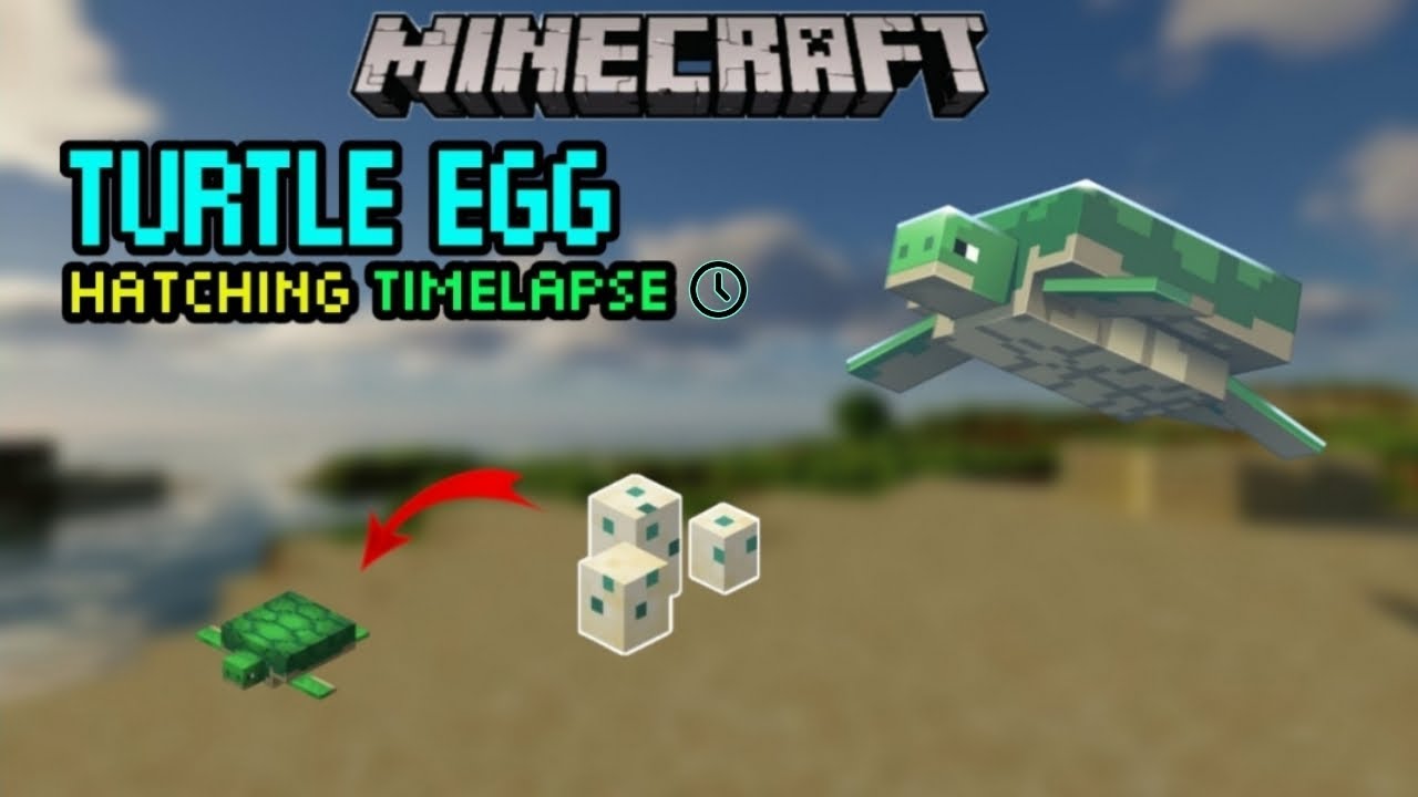 Minecraft turtle egg hatching timelapse || Minecraft || 