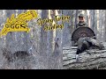 Wide open white oaks and pine thickets spring turkey hunting