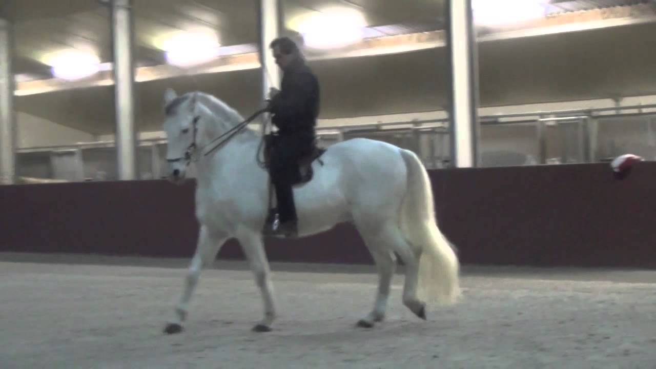 Weekend clinic Bent Branderup March 2014-Belgium