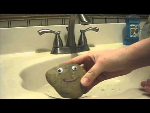 HOW TO CARE FOR A PET ROCK