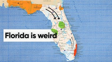 Hoe Florida zo raar werd