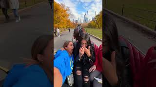 Nyc Horse Fling Poop On Her Face Epic Fail