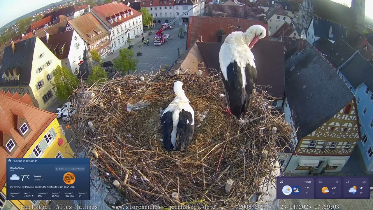 2025 04 23 Storchennest Höchstadt, Feuerwehreinsatz am Marktplatz, für Störche????