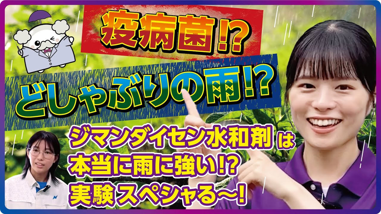 ジマンダイセン水和剤が耐雨性に優れる理由、徹底調査スペシャる～！独自の製剤技術「レインシールド　テクノロジー」とは？【ジマンダイセン博士登場バージョン】