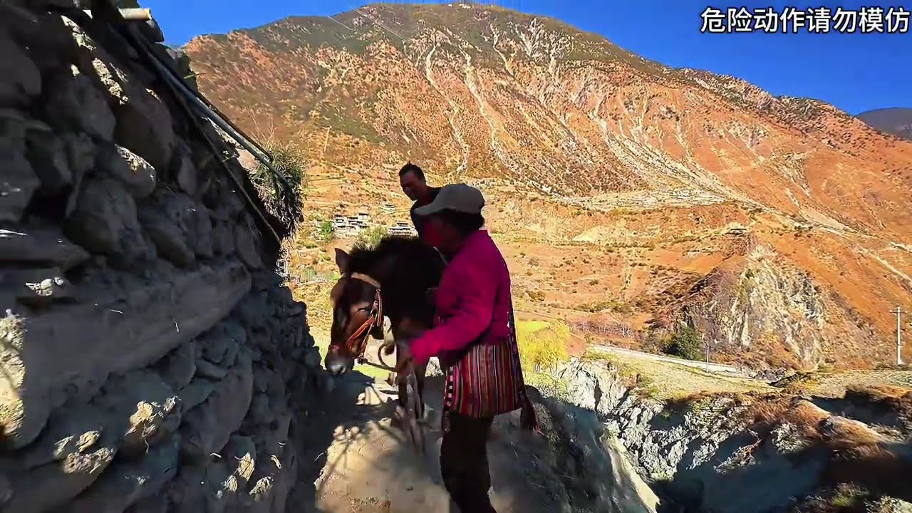 人生第一次骑骡子去庄房看爷爷，人生有太多的第一次