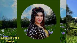 Mihemed Arif Cizîrî - Şêxê Canê