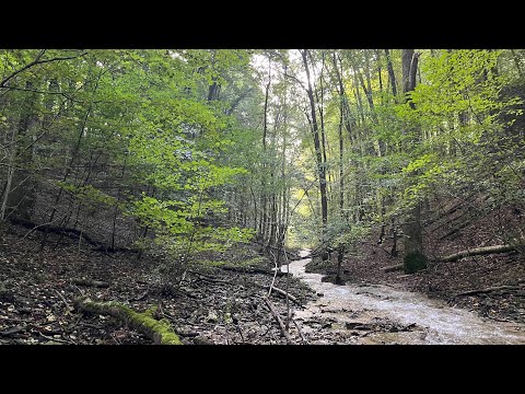 United Kingdom | Walking Tour 4K | Oct 16, 2024