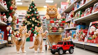 Ginger Kittens Decorate For Christmas With Dad Cat Cozy Home Makeover