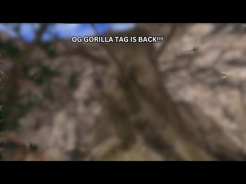 OG GORILLA TAG HAS RETURNED!!!!!!