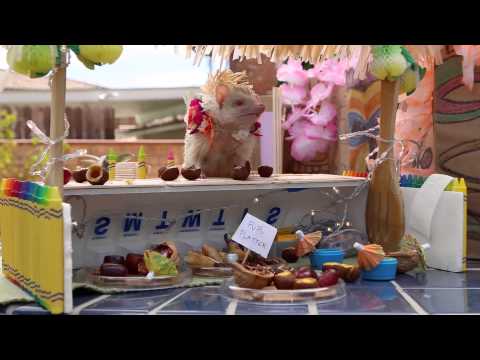 Behind the Scenes: Tiny Hamster's Tiny Tiki Party