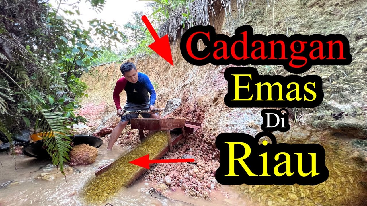 GEMPARKAN DUNIA..! HARTA KARUN DI PERUT BUMI RIAU,SAINGI PT FREEPORT PAPUA | INDONESIAN GOLD MINING