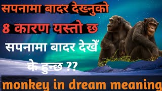 सपनामा बादर देख्नुको 8 कारण यस्तो छ l Monkey In Dream l Sapana Ko Fal Nepali