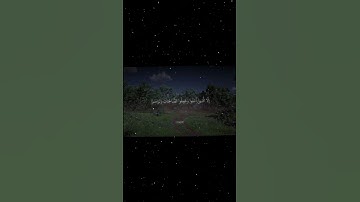 سورة العصر|1-3|القارئ:#محمد_اللحيدان #قران #quran #راحة_نفسية #قران_كريم#تلاوة_هادئة#آية#تلاوة_خاشعة