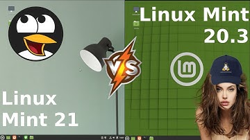 Linux Mint 21 vs 20.3: RAM Usage on BootUp