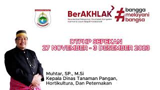 Dtphp Sepekan 27 November - 3 Desember 2023