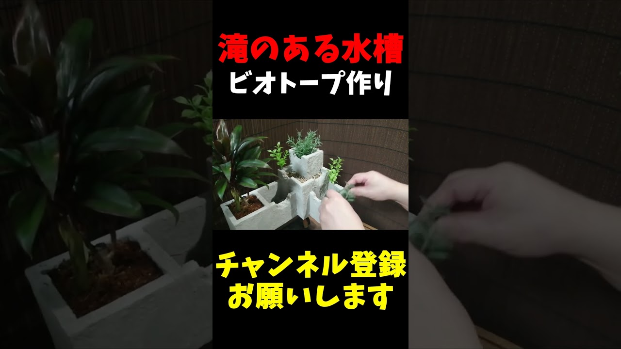 セメントと発泡スチロールで自作水槽【Japanese Medaka】