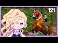 Jumping My Pegasus Over New Butterfly Showjumping Special Event! - Star Equestrian [121]