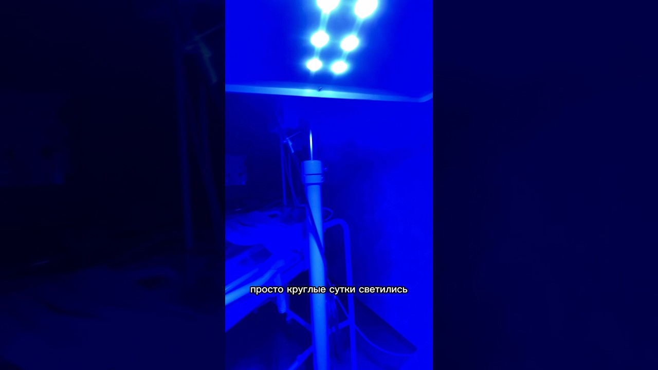 ЯДЕРНАЯ ЖЕЛТУХА / ГБН / конец видео в профиле сегодня вечером 🤍 #беременность #роддом #желтуха