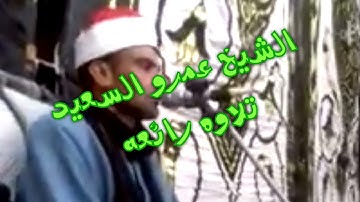 الشيخ عمرو السعيد تلاوه رائعه تسجيلات رائعه