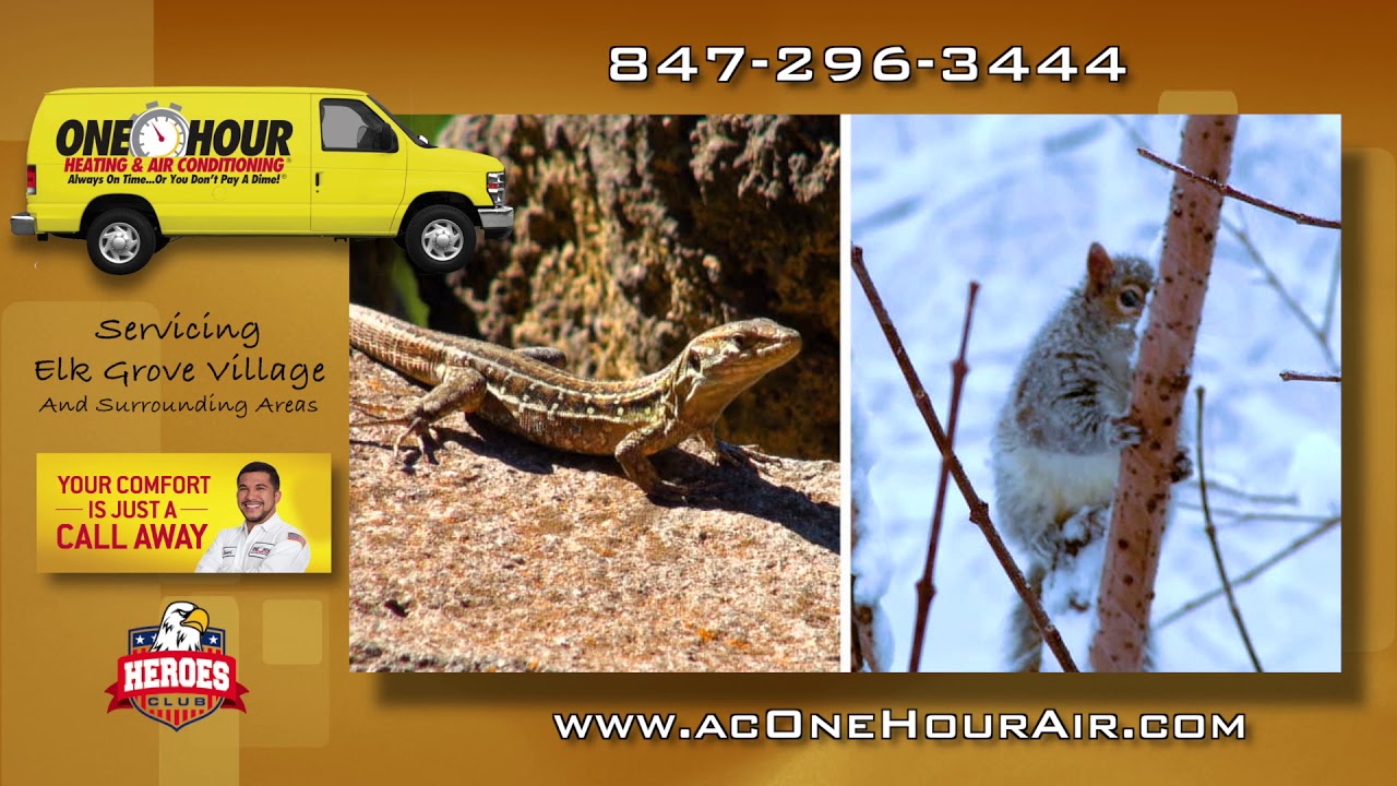 Variable Speed HVAC Technology One Hour Heating And Air Conditioning