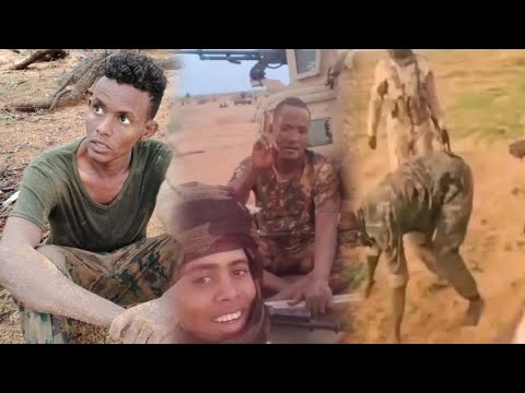 موجز عملياتي اشاوس الدعم السريع في كردفان و قائد الجاهزية يرسل رسالة خاصة إلى أبو عالقة كيكل