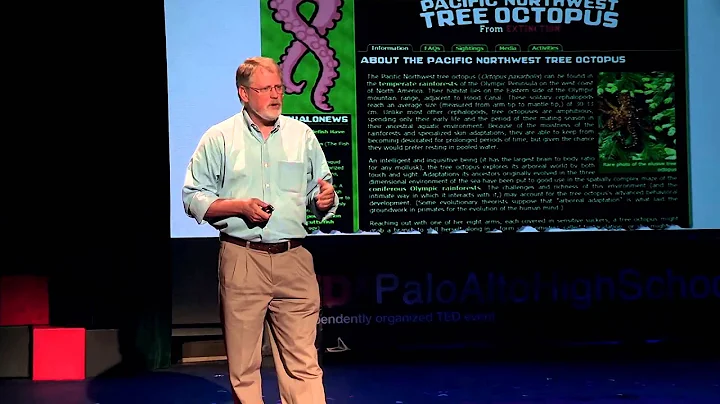 The Revolution in Asking & Answering Questions: Da...