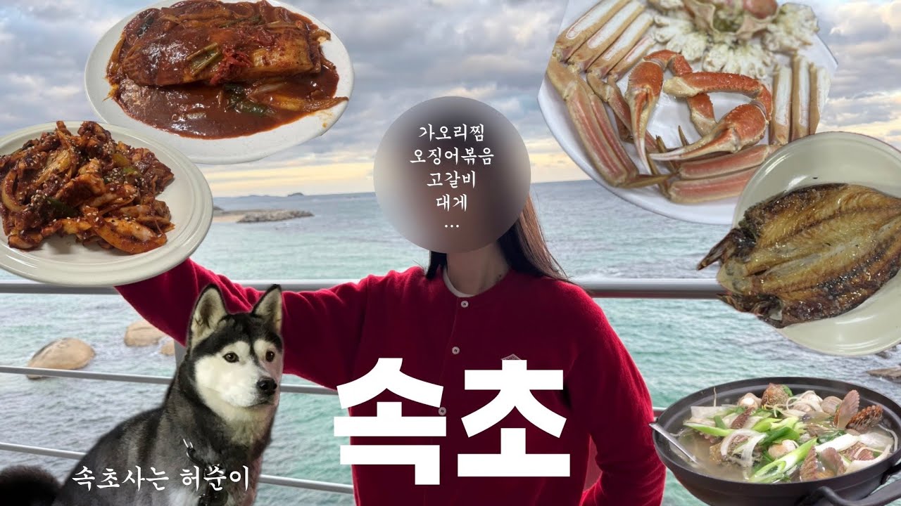 먹으러 간 속초 1박2일 여행 (맛집 위주)🍴~~