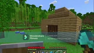 minecraft suvival with my friends
