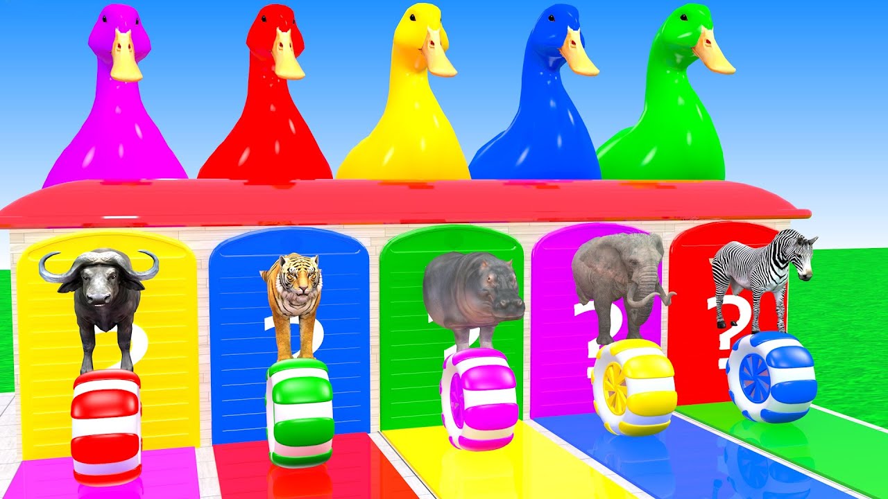 Long Slide Game With Elephant Buffalo Tiger Zebra Hipopotamus 3d Animal Game Funny 3d Animals