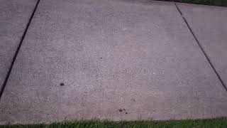 Shadow bands, shadow snakes, 2017 total eclipse, TN