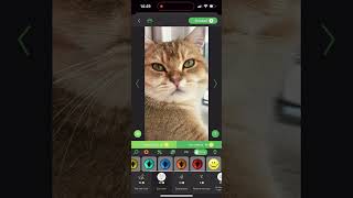 Changing the Color of Your Pet's Eyes is Very Simple  with RetouchMe App screenshot 1