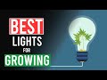 Best Lights for Growing Cannabis!