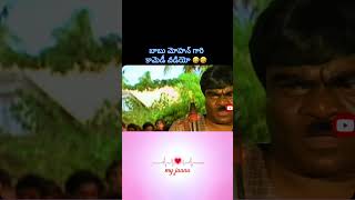 బాబు మోహన్ పెళ్లి సందడి కామెడీ! 😂 | Babu Mohan Marriage Sannadhi Comedy Scene #Shorts #trending