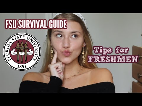 FSU SURVIVAL GUIDE: Things I Wish I Knew As A Freshman at Florida State University