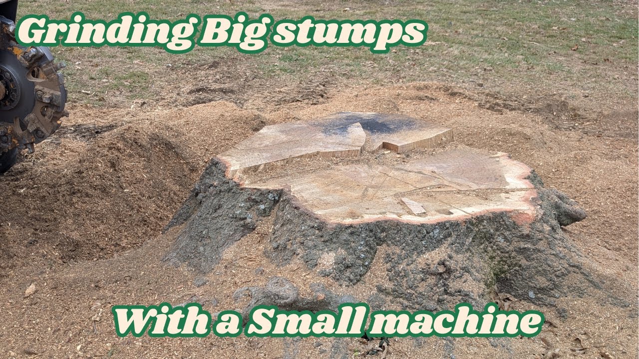 How to Grind HUGE Stumps with a SMALL Machine (Pro Tips & Tricks) - YouTube