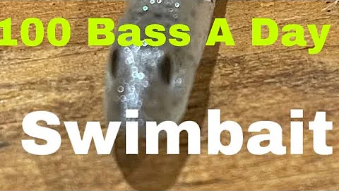 The Finesse Summer Swimbait That Produced Two, 100+ Bass Days For Me…