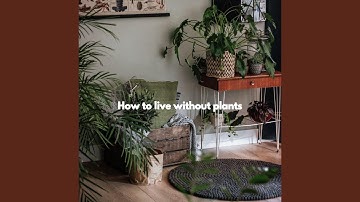 Background for Reading Moves